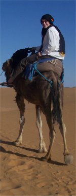 Learn Arabic in Morocco