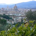 Study Italian in Florence