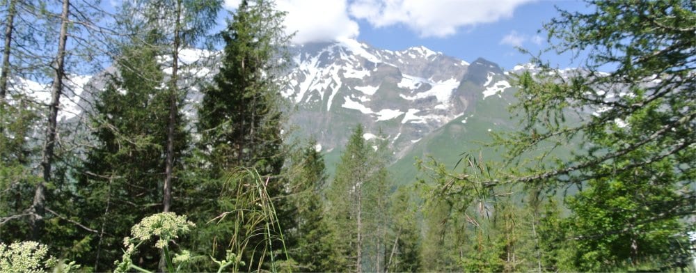 Kitzbuhel: Alpine view