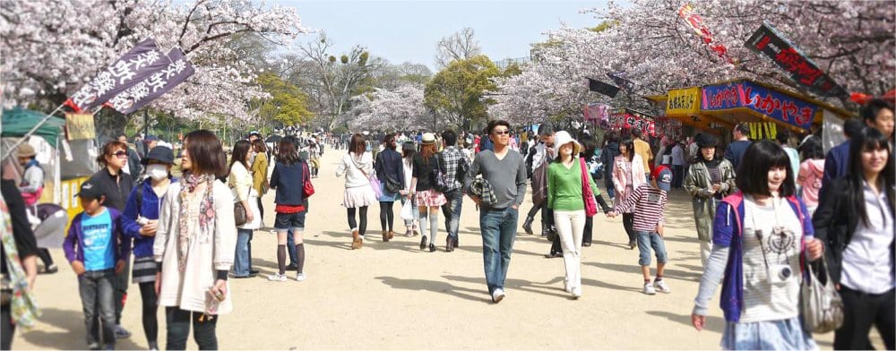 Fukuoka: Cherry blossom seasson in the park