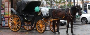 Seville: Carriage