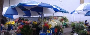 Cuenca: Flower market