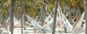 Playa del Carmen: Hammocks