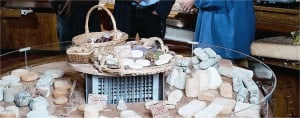 Tours: Cheese Shop