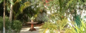 Playa del Carmen: Garden