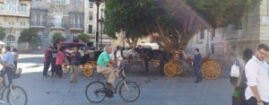 Seville: Bikes