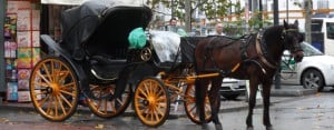 Seville: Carriage