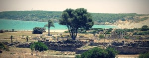 Tarifa: Andalucian landscape