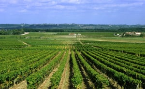 Michaela in Bordeaux