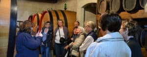 Florence: Over 50 wine vineyard excursion