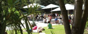 Berlin: Campus garden during lunch break